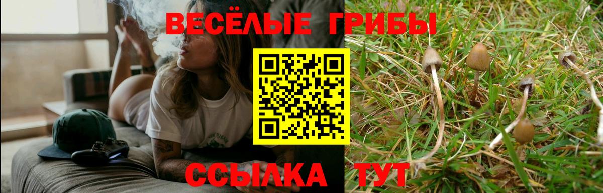 Псилоцибиновые грибы GOLDEN TEACHER Ивантеевка