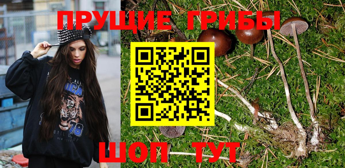 Ивантеевка  Галлюциногенные грибы GOLDEN TEACHER  Вход с VPN 